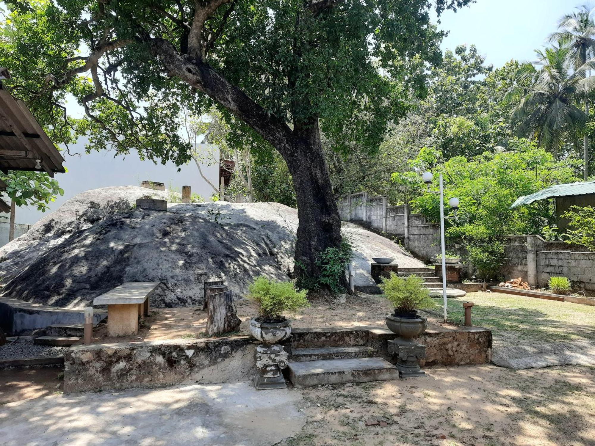 Selagala Resort Anuradhapura Exterior photo